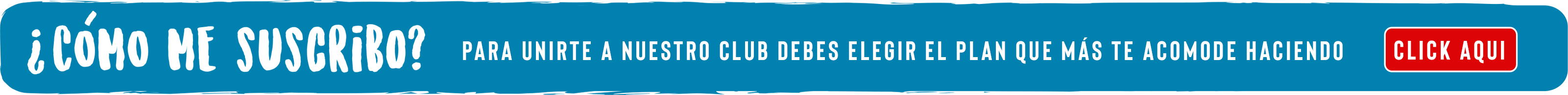 pajarito_lector_como_funciona_cuatro